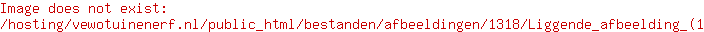 liggende afbeelding (1)