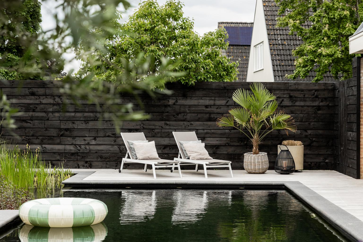 Zwemvijver in moderne tuin