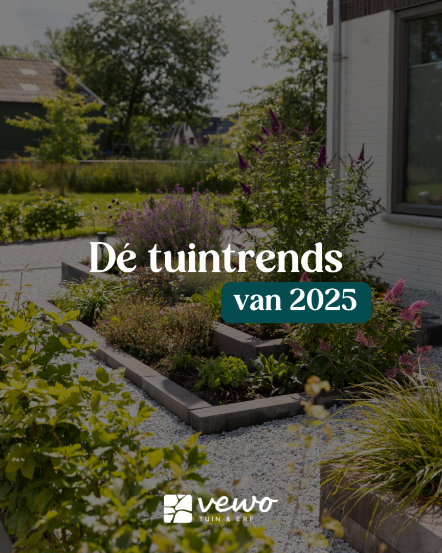 Vewo Tuin & Erf
