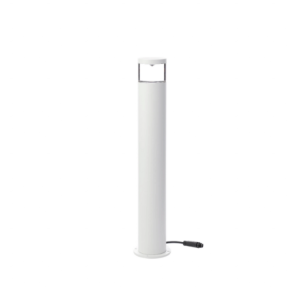 Sus Sense White 24V