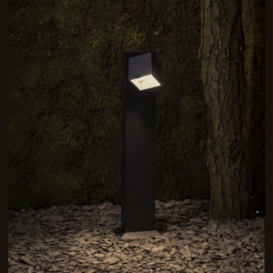 Sus Cube Mono
