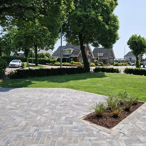 Stonique oud drachten