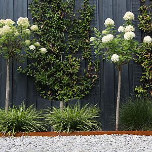Kantopsluiting Single Corten