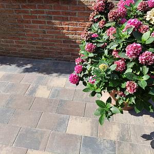 Sesto 20x30x6 cm chelsea