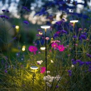 In-lite SWAY