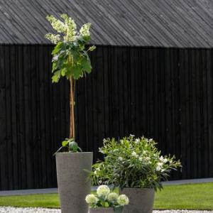 Dax L, Diorite Grey