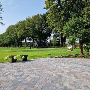 Longstone opritsteen 7 cm oud drachten