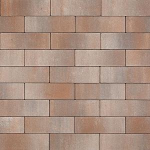 Noviton 10x30x6cm Kivaro