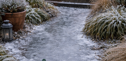 4d358b89 164a 4221 bd55 6c2ddf601e2c