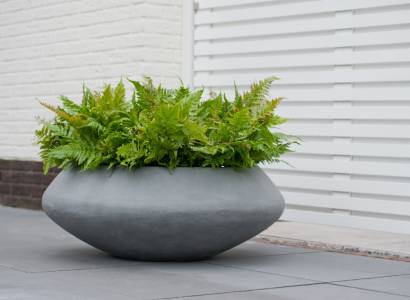 <p>Met de juiste <strong>bloempotten</strong> geef je jouw tuin, terras of balkon een unieke uitstraling. Of je nu gaat voor een moderne, strakke look of juist een natuurlijke, speelse sfeer, bij VEWO Tuin & Erf vind je een breed assortiment aan bloempotten in diverse stijlen, maten en materialen. Van vorstbestendige fiberstone potten tot robuuste keramische varianten – wij hebben de perfecte pot voor elke plant en elke tuin.</p>

<p><strong>Let op: op dit moment hebben wij alleen nog maar een aantal wandpotten in onze webshop staan. Ben je op zoek naar iets anders? Neem dan contact op of kom langs om te ontdekken wat wij allemaal nog meer hebben.</strong></p>
