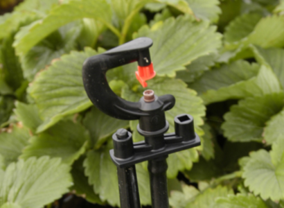 <p>Een goed <strong>sproeisysteem</strong> is essentieel om je tuin het hele jaar door optimaal te onderhouden. Of je nu een klein bloembed of een groot gazon hebt, met een geautomatiseerd sproeisysteem bespaar je tijd en zorg je ervoor dat je planten altijd de juiste hoeveelheid water krijgen. Bij VEWO Tuin & Erf bieden we diverse <strong>sproeisystemen</strong> die passen bij de grootte en indeling van jouw tuin. Van automatische irrigatie tot handmatige sproeiers, wij hebben voor iedere tuin de juiste oplossing. Ontdek ons assortiment en maak je tuin het hele jaar door groen en gezond!</p>

<p><strong>Let op: op dit moment hebben wij nog niet alles in onze webshop staan. Ben je op zoek naar iets anders? Neem dan contact op of kom langs om te ontdekken wat wij allemaal nog meer hebben</strong></p>
