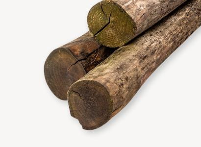 <p>Bij ons vind je een ruim assortiment kastanjepalen in verschillende lengtes en diameters. Kastanjehout staat bekend om zijn natuurlijke uitstraling, lange levensduur en hoge duurzaamheid zonder chemische behandeling. Daardoor zijn kastanjepalen een populaire keuze voor onder meer afrasteringen, weideomheiningen, schapenhekken, boombescherming en diverse toepassingen in tuin en landschap. Of je nu particulier bent of werkt als hovenier of aannemer: bij ons bestel je eenvoudig de kastanjepalen die passen bij jouw project.</p>
