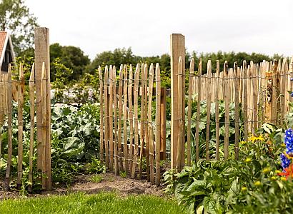 <p>Met houten hekwerk geef je een tuin, erf of weiland op een natuurlijke manier een duidelijke afscheiding. Van een landelijk <strong>schapenhek</strong> tot een robuust <strong>landhek</strong> of een bijpassende <strong>houten poort</strong>: er zijn verschillende mogelijkheden voor zowel particuliere tuinen als grotere erven. Bij ons vind je houten hekwerken die niet alleen praktisch zijn, maar ook mooi opgaan in een groene omgeving. Bekijk de verschillende uitvoeringen en kies het hekwerk dat past bij jouw tuin.</p>
