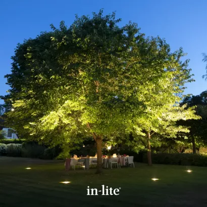 In-Lite Big Nero 12V - Dark