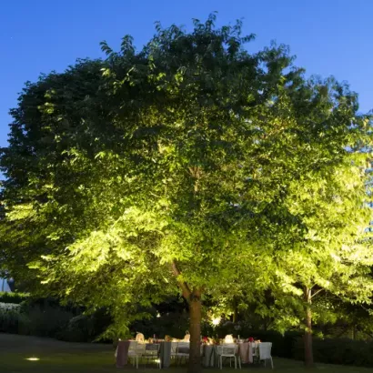 In-Lite Big Nero 12V - Dark - Dark