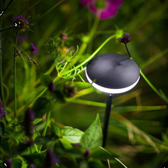 In-Lite Sway Light Head Black Solitary