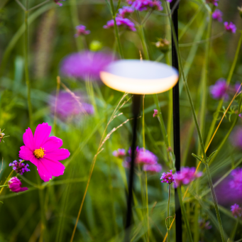 In-Lite Sway Light Head Pearl Grey Solitary - Pearl Grey