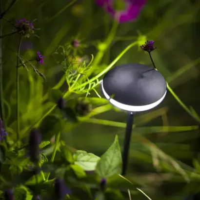 In-Lite Sway Tube Low 60cm Solitary - Black
