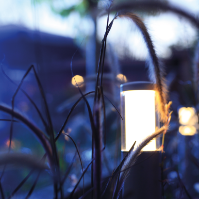 In-Lite Liv Solitary Low 12V - Rosé Silver