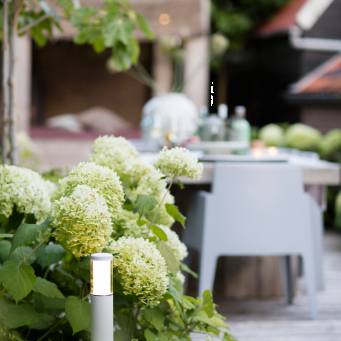 In-Lite Liv Solitary 12V - White - White