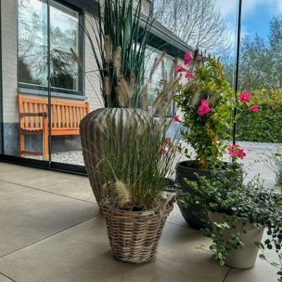 Malvero Beige 80x80x3 cm