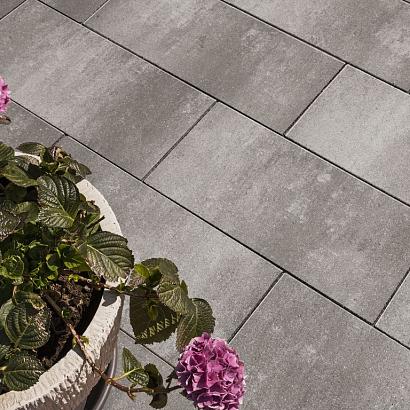 Noviton xxs linea 30x60x4cm Amanis