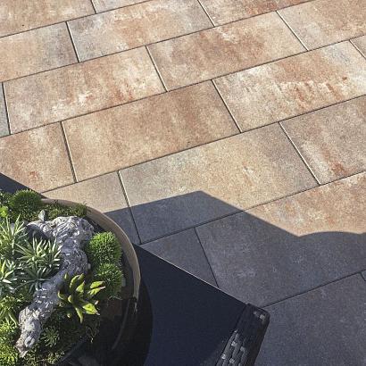 Noviton xxs linea 30x60x4cm Kivaro