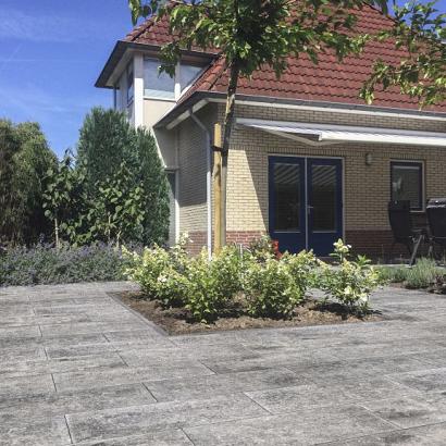 Noviton se xxs Amanis