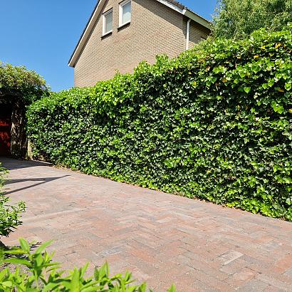 Rustiq trommel longstone 7 cm oud emmen