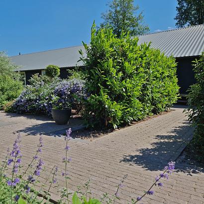 Rustiq trommel waalformaat 7 cm mangaan