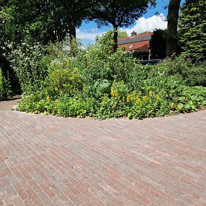 Stonique groningerbruin