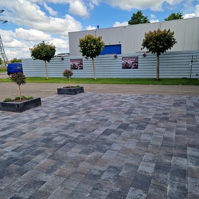 Sesto 20x30x6 cm oud drachten