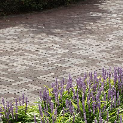 UWF 60 Bavaro bezand getrommeld