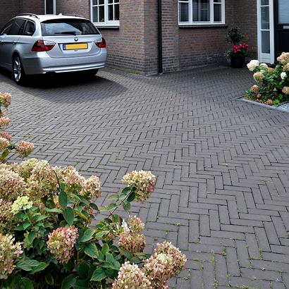 UWF 60 Cervano bezand getrommeld