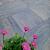 Pro Edge 60x60x4 cm tricolore