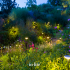 In-Lite Sway Tube 100cm Solitary