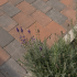 Toscano 20x30x6 brons
