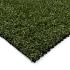 Groene Gramsberger 50mm