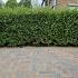 Betonstraatsteen 6 cm oud bussum komo