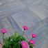 Pro Edge 60x60x4 cm tricolore