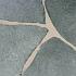 Flagstones Alta